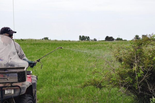 FTC, States Reach $35 Million Corteva Pesticide Settlement