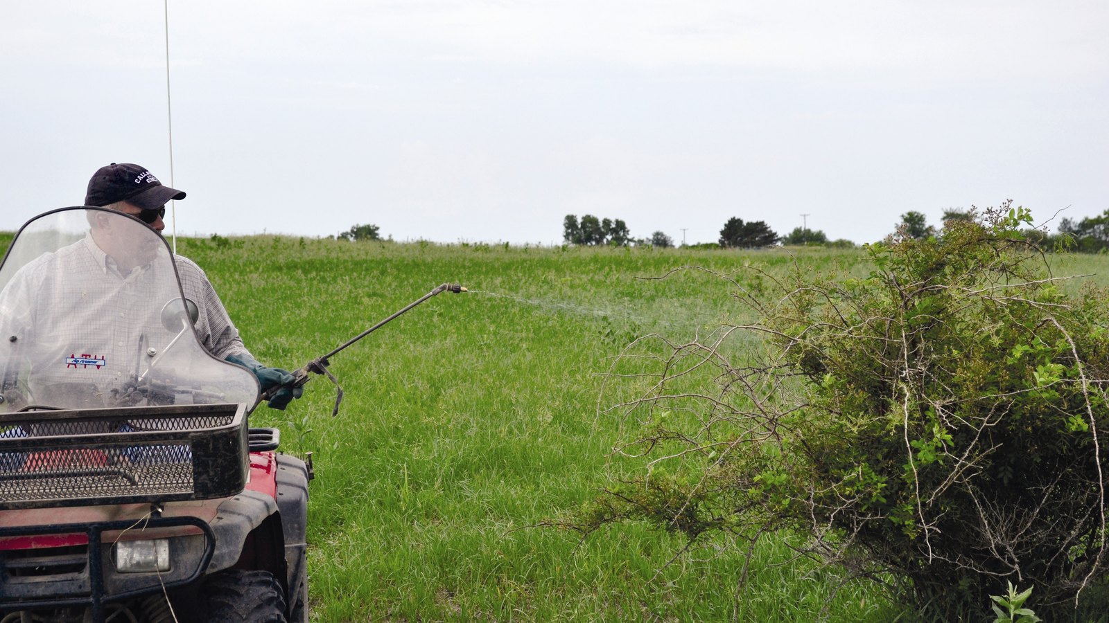FTC, States Reach $35 Million Corteva Pesticide Settlement